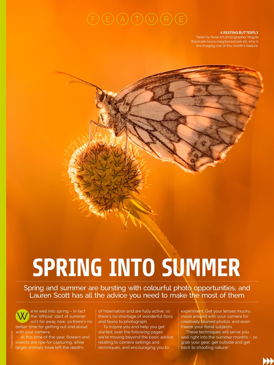 Photography Week Preview Pages