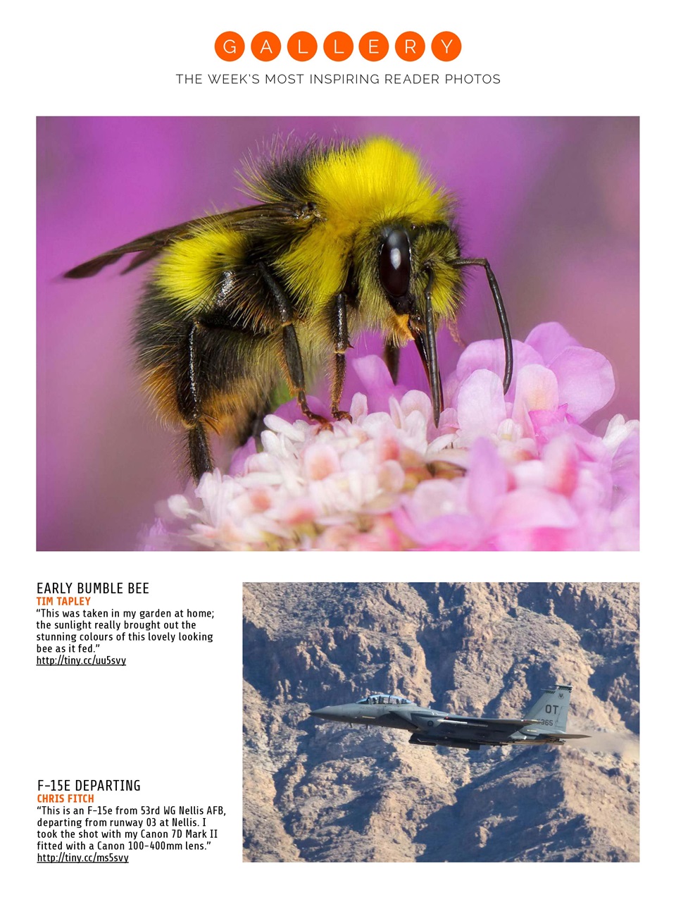Photography Week Preview Pages