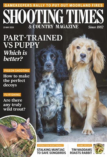 Shooting Times & Country issue 