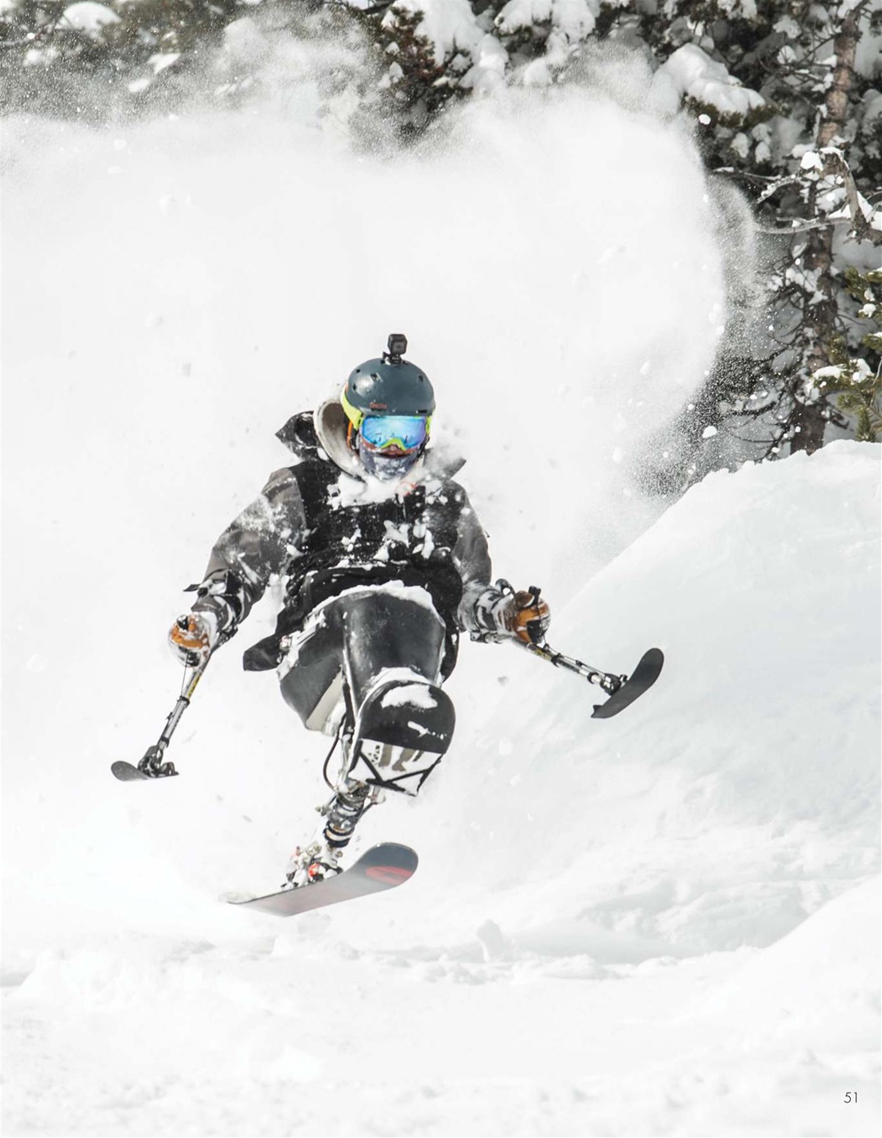 Snow Action Preview Pages