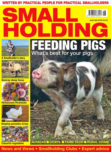 The Smallholder issue 