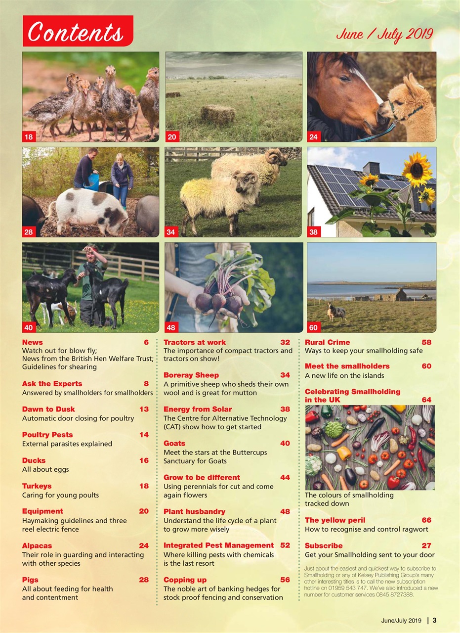 The Smallholder Preview Pages