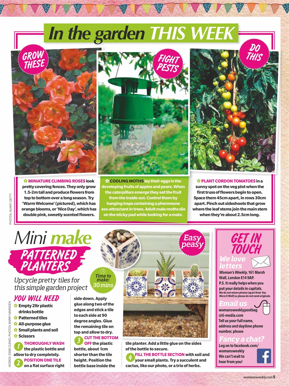 Woman's Weekly Preview Pages