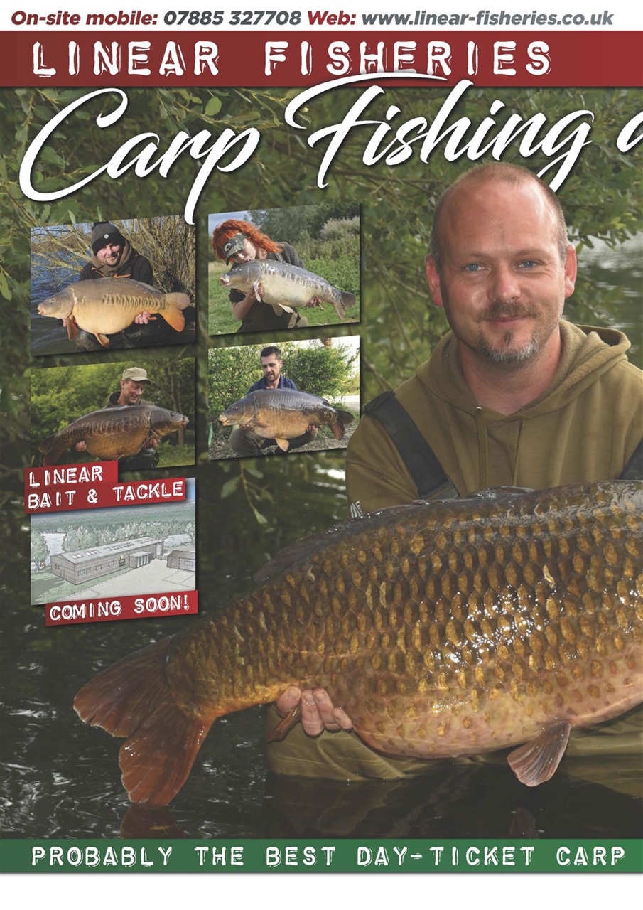 Carpworld Preview Pages