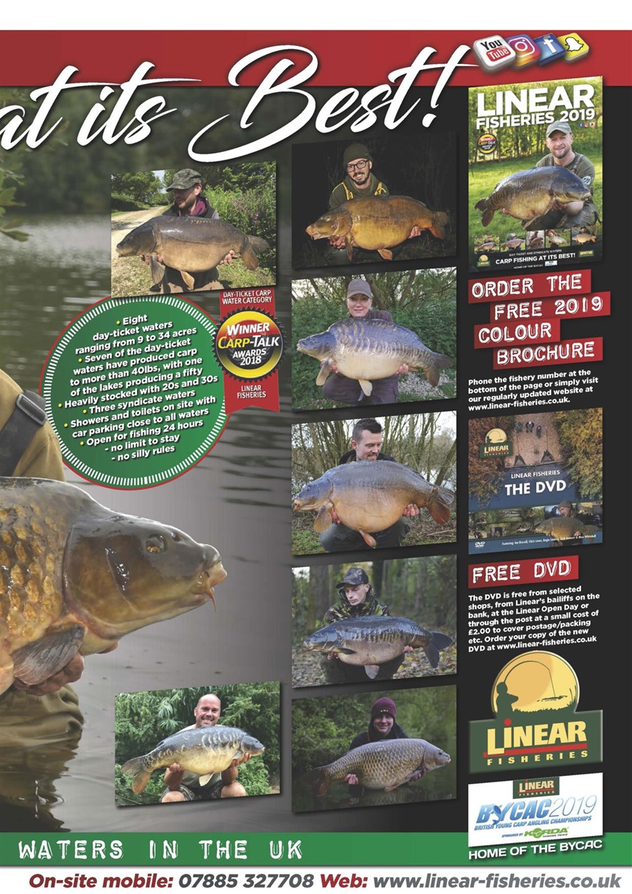 Carpworld Preview Pages
