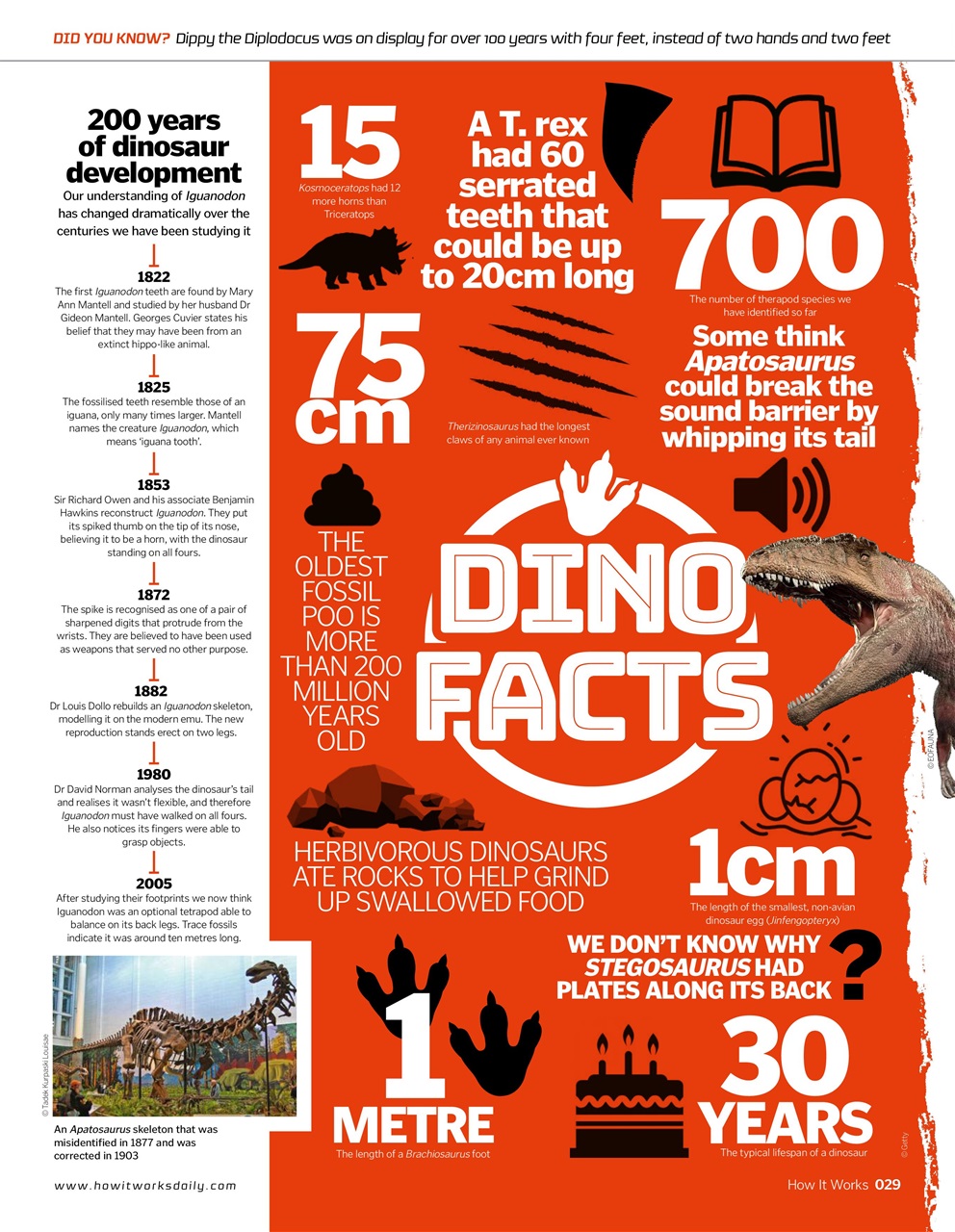 How It Works Preview Pages