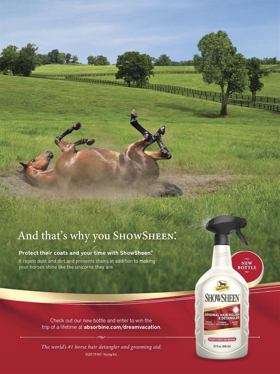 Horse Illustrated Magazine Preview Pages
