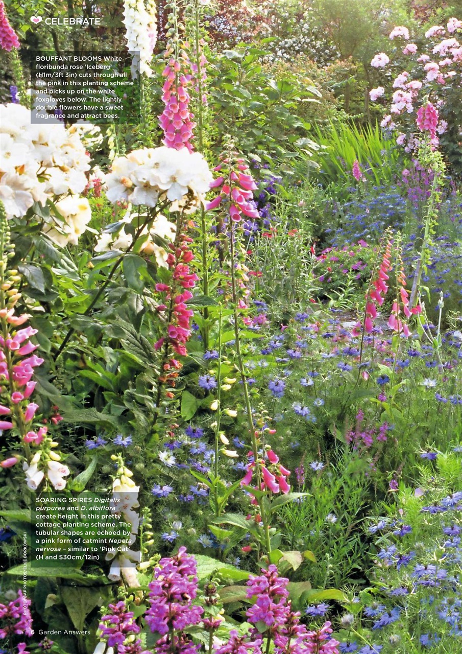 Garden Answers Preview Pages