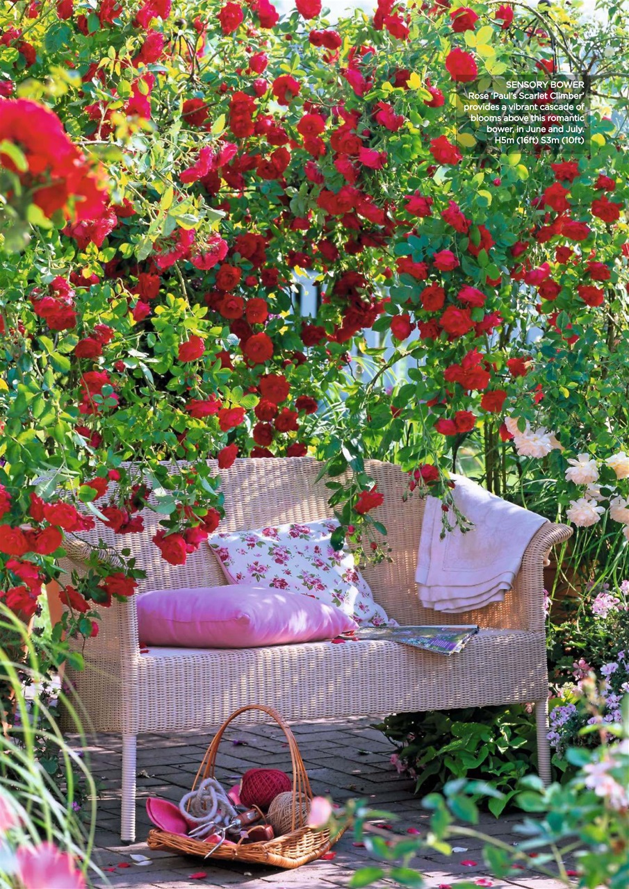 Garden Answers Preview Pages