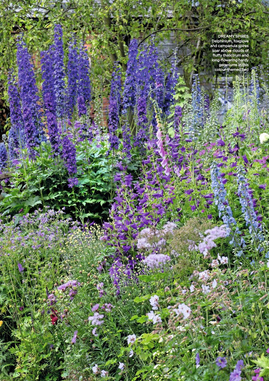 Garden Answers Preview Pages