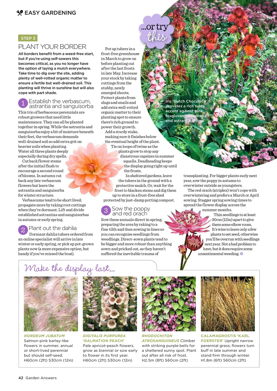 Garden Answers Preview Pages