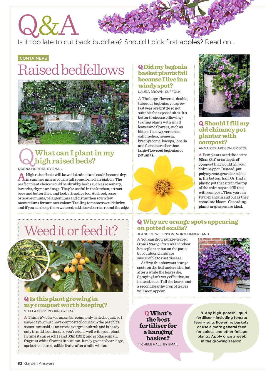 Garden Answers Preview Pages