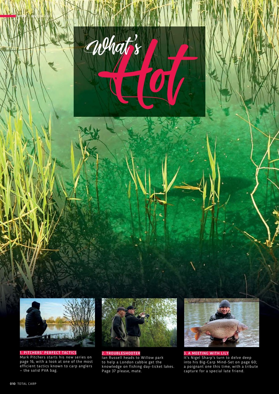 Total Carp Preview Pages