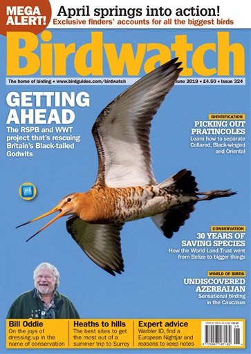 Birdwatch Magazine issue 