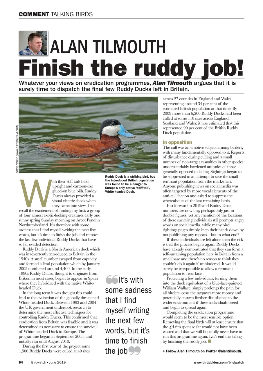 Birdwatch Magazine Preview Pages