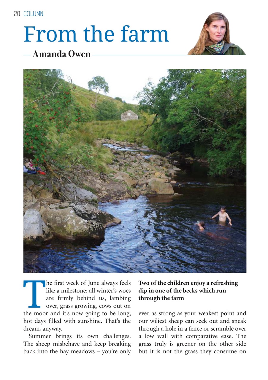 The Yorkshire Dalesman Preview Pages
