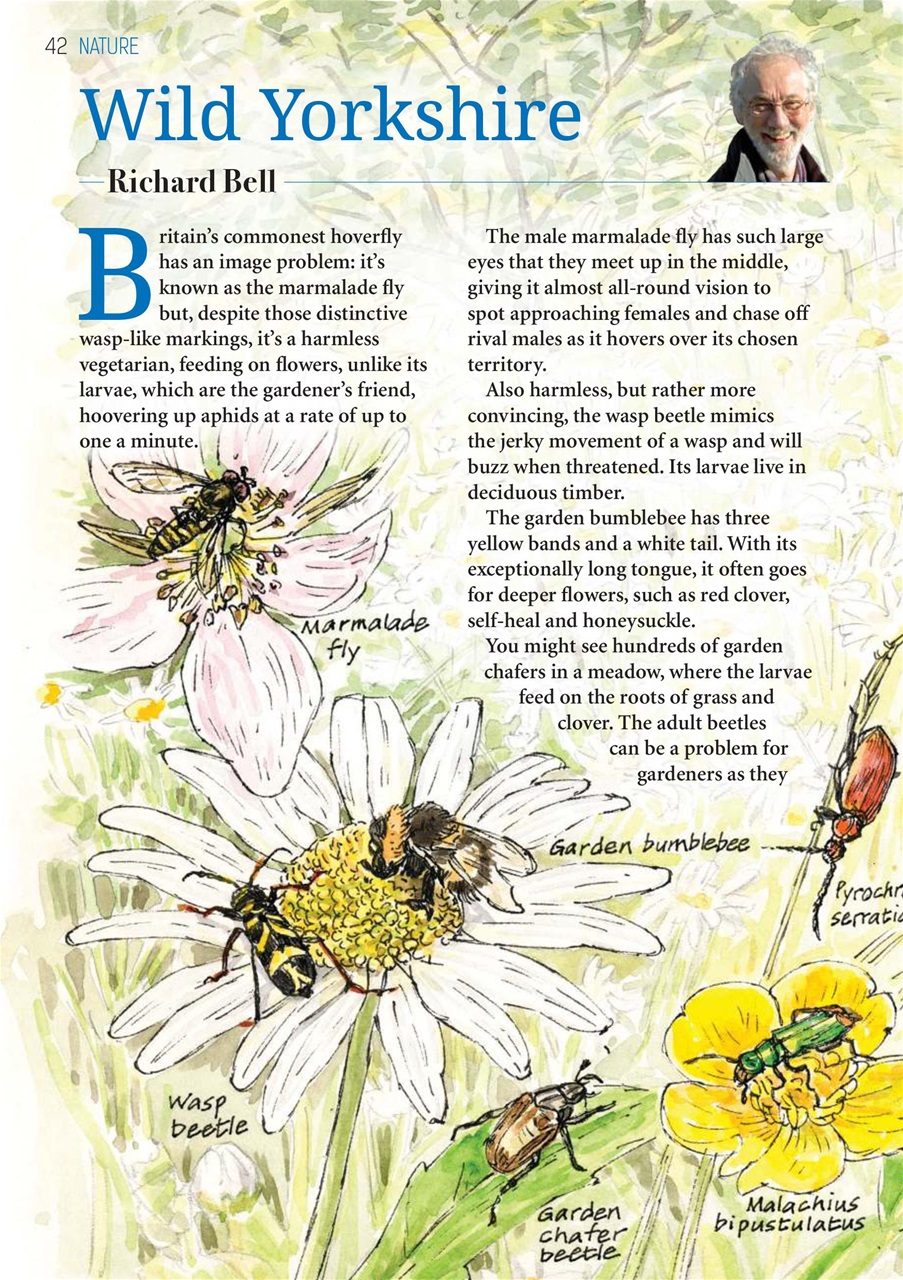 The Yorkshire Dalesman Preview Pages