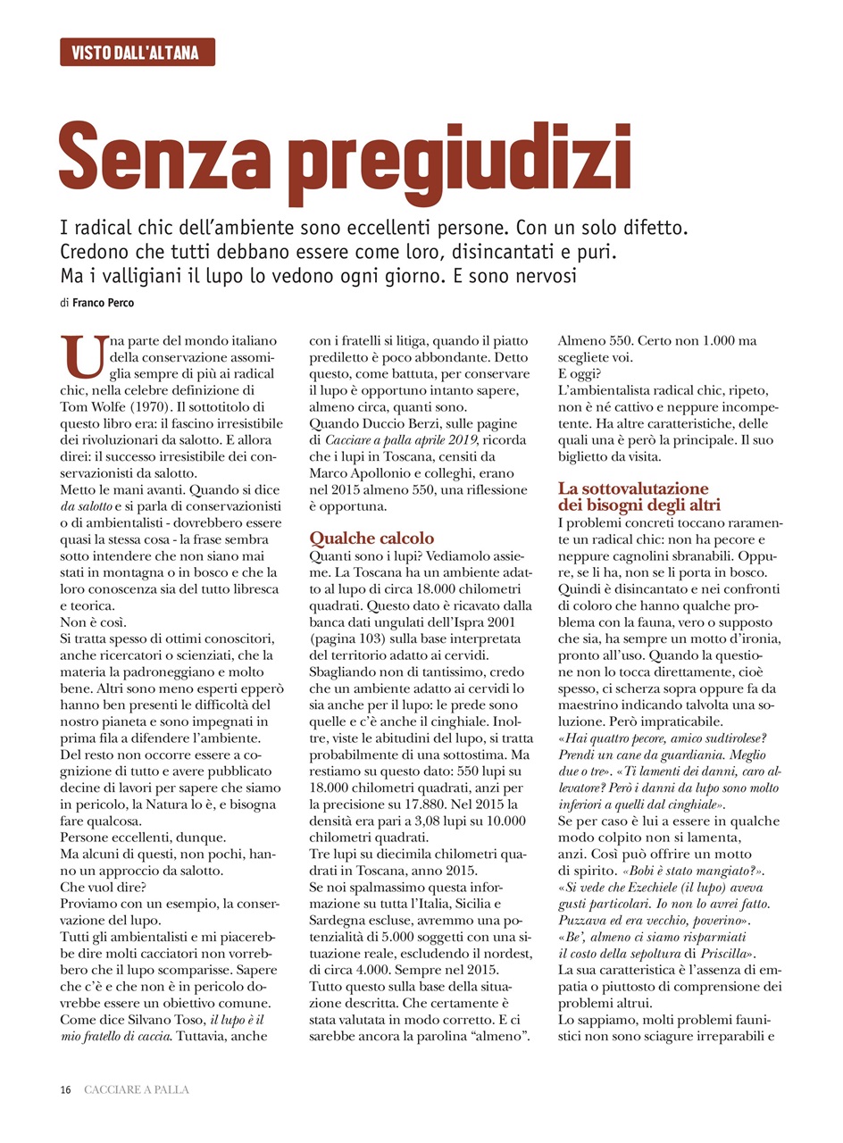 Caccia Magazine Preview Pages