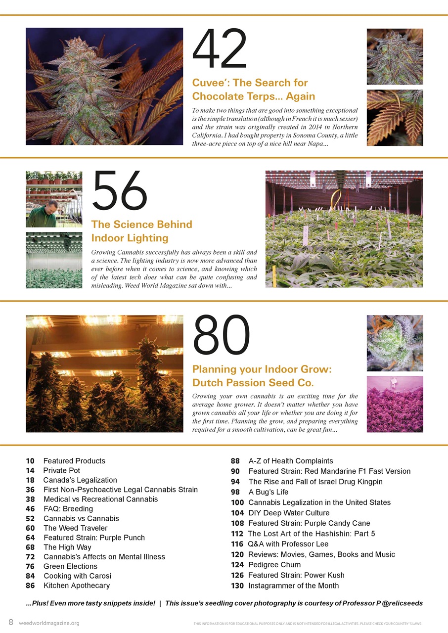 Weed World Preview Pages