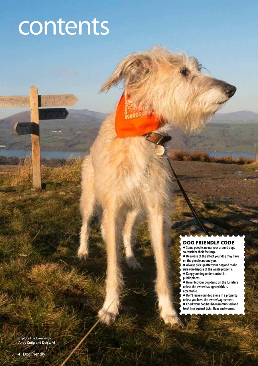 Dog Friendly Preview Pages