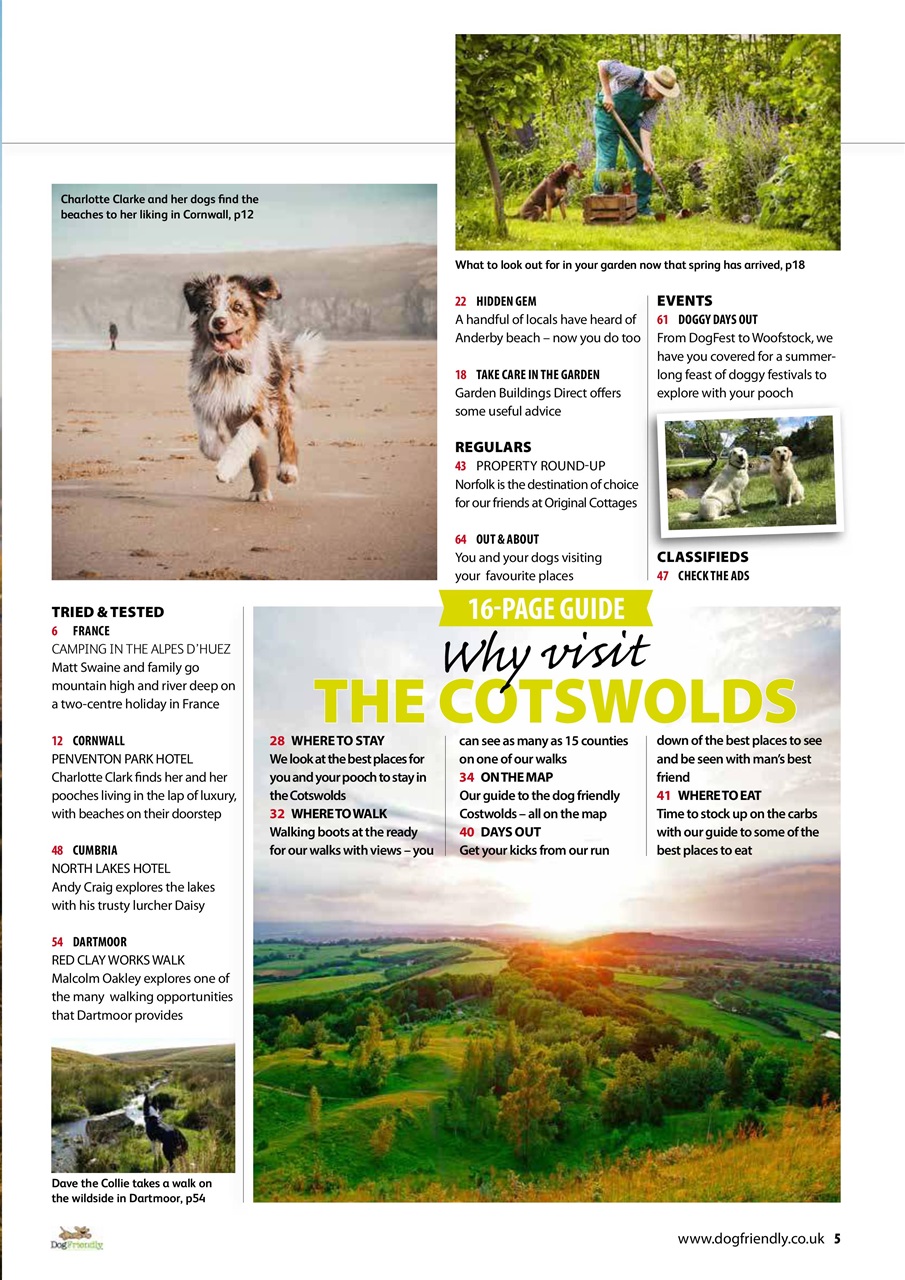 Dog Friendly Preview Pages