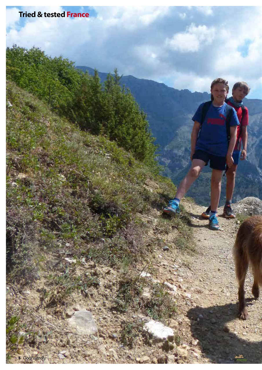 Dog Friendly Preview Pages