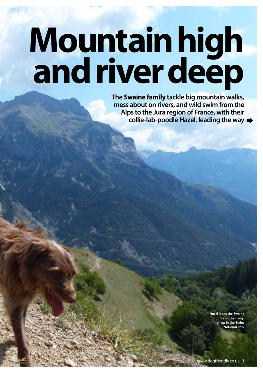 Dog Friendly Preview Pages