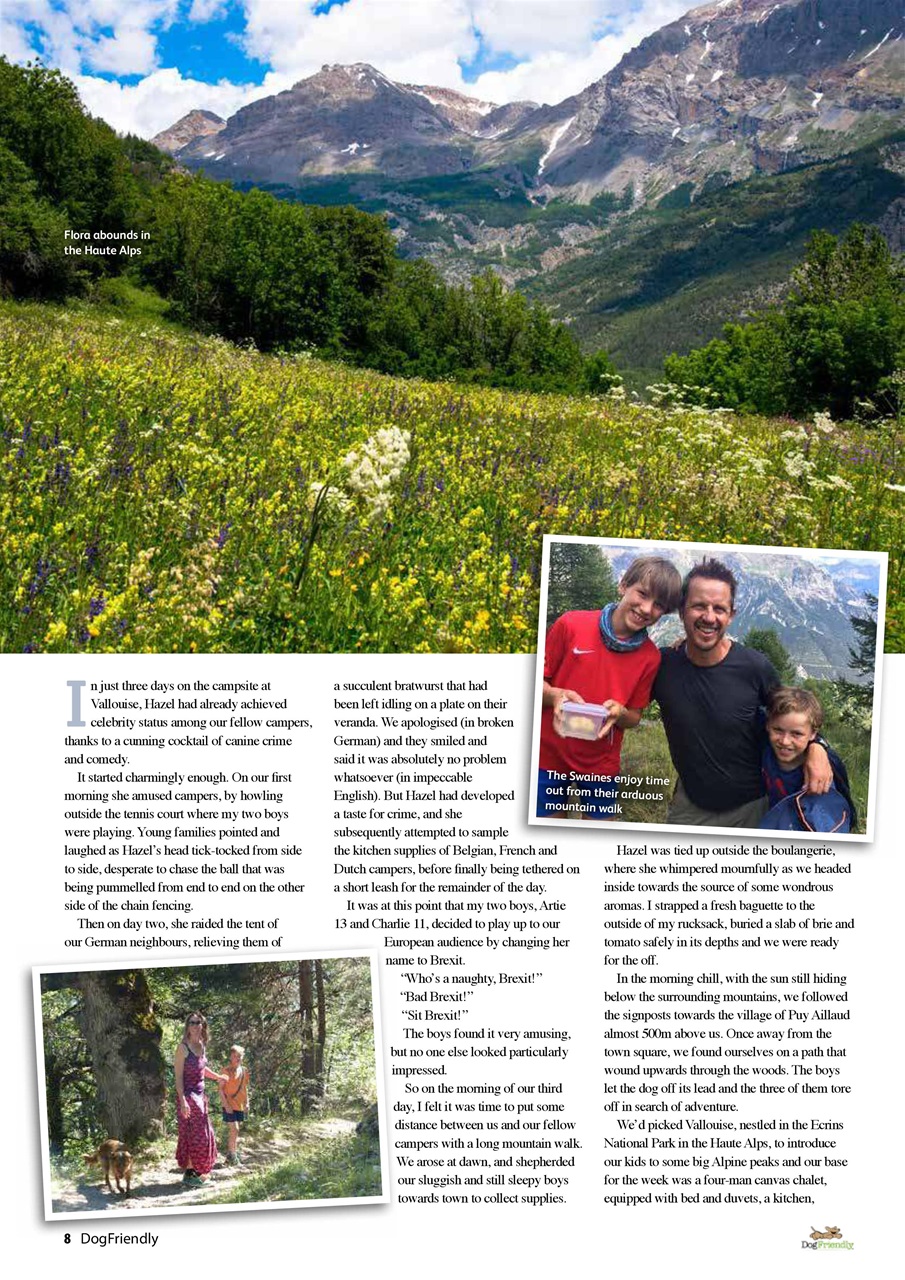 Dog Friendly Preview Pages