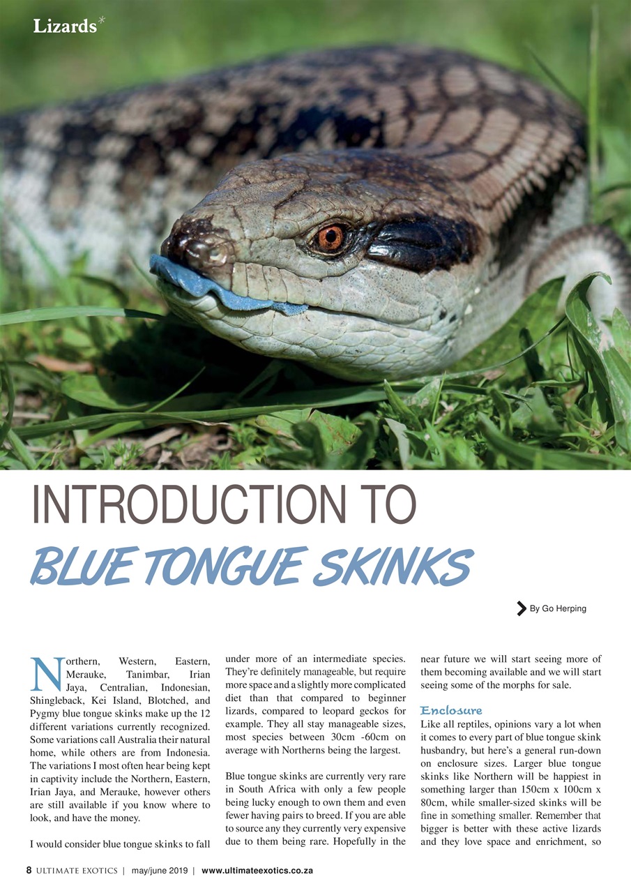 Ultimate Exotics Preview Pages