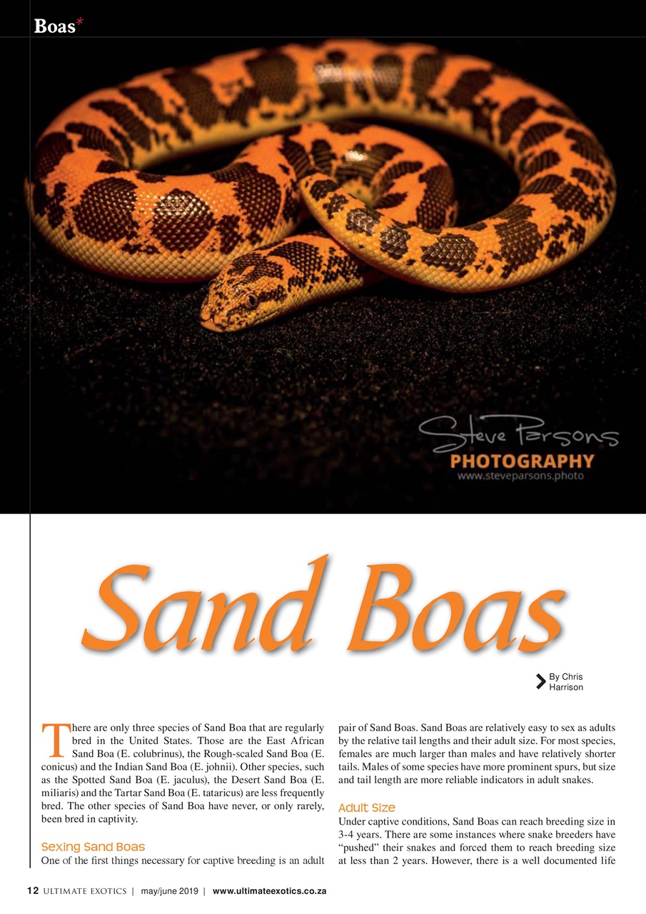 Ultimate Exotics Preview Pages