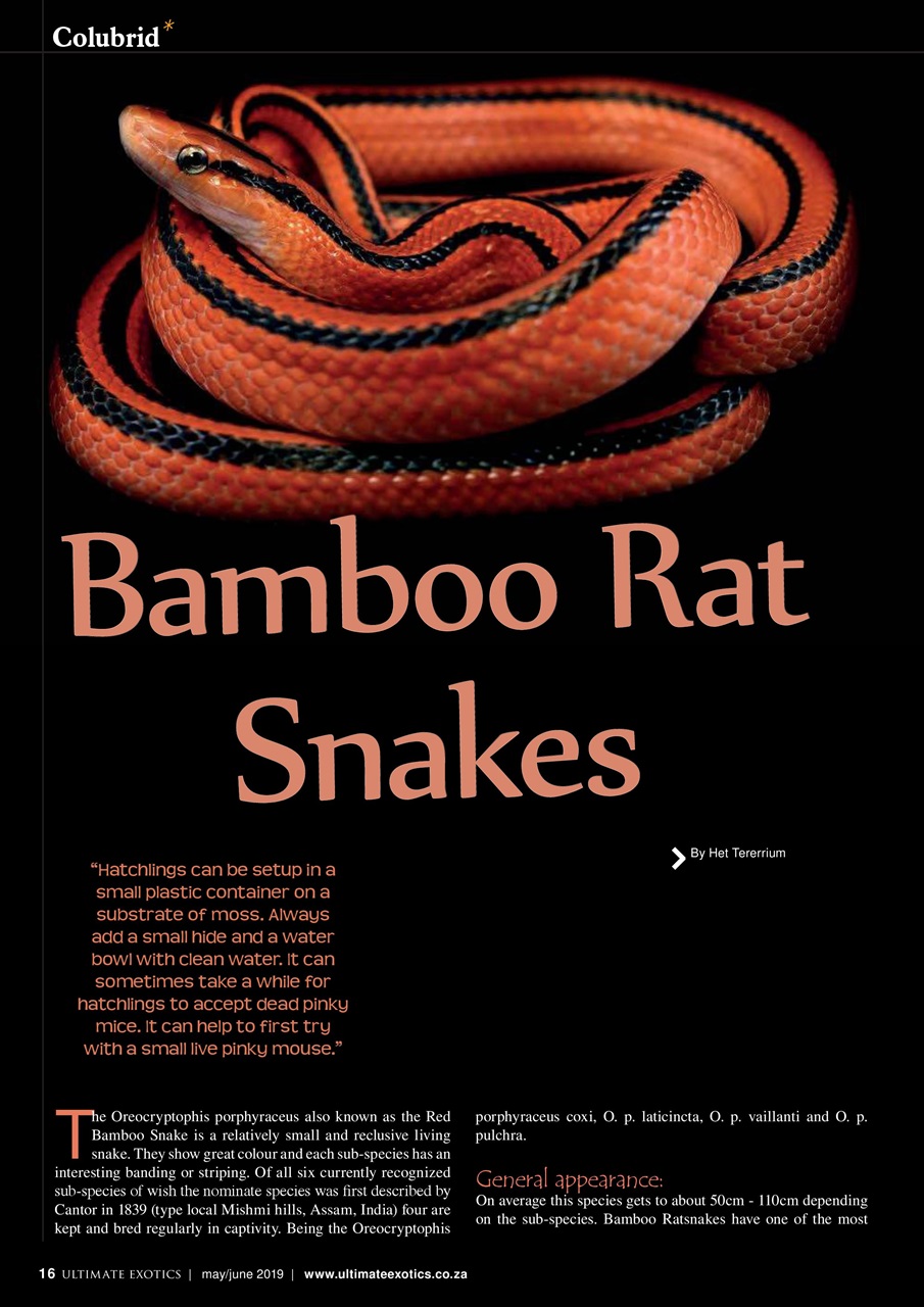 Ultimate Exotics Preview Pages