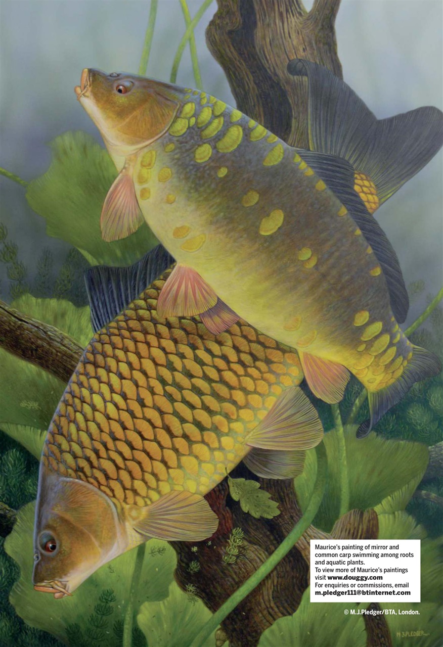 Anglers Mail Preview Pages