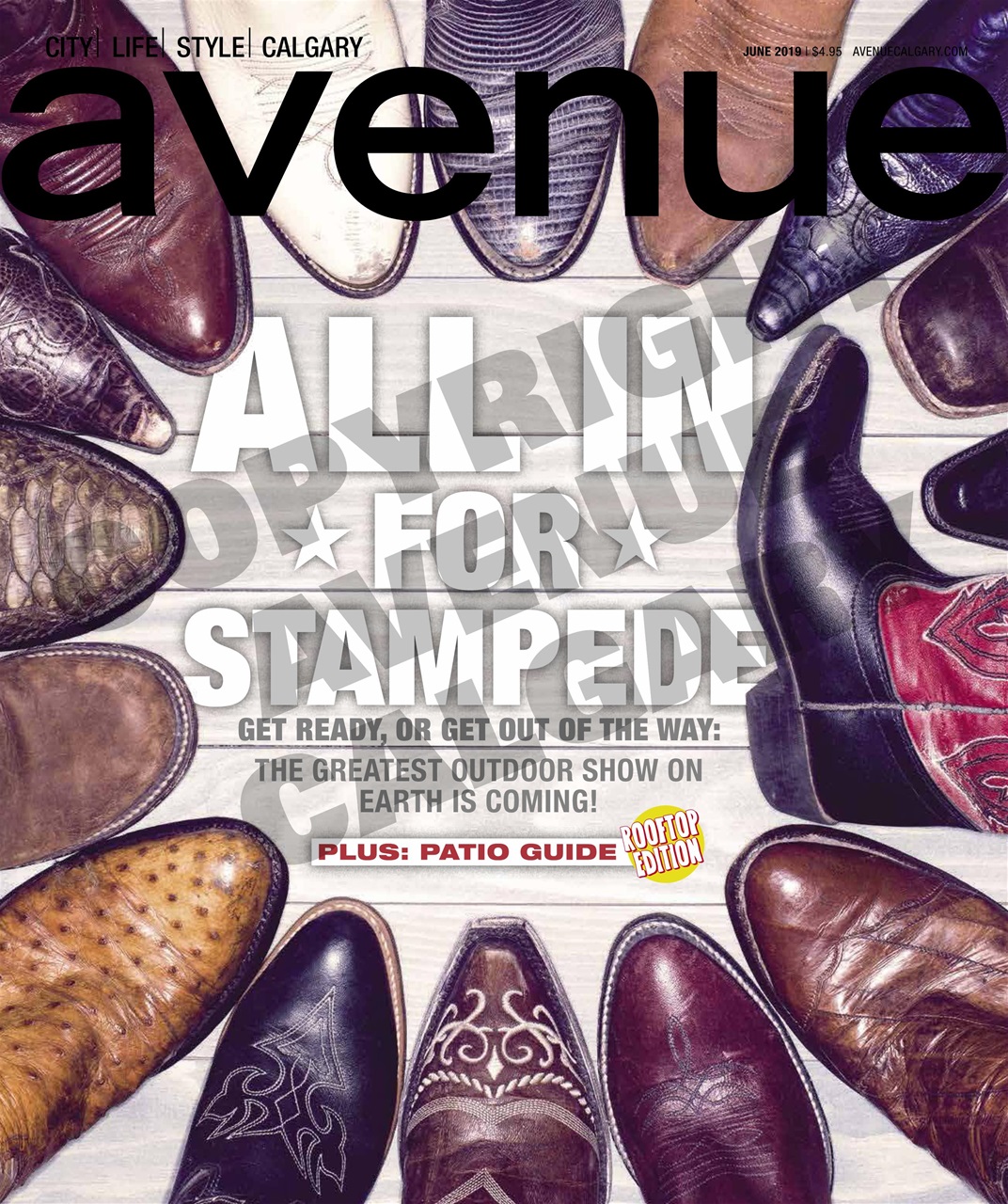 Avenue Calgary Preview Pages