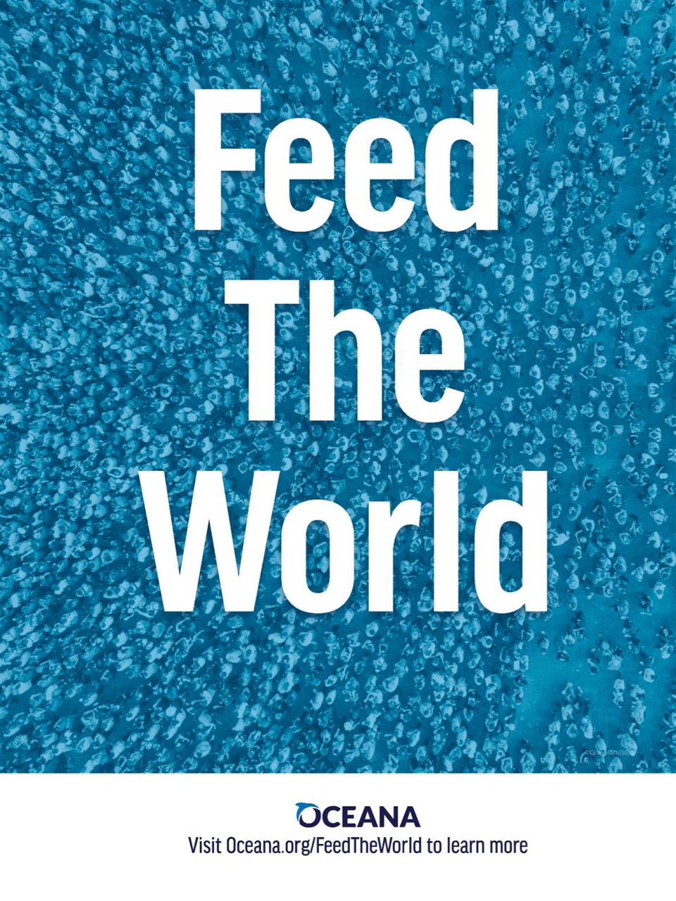 TIME Magazine Europe Preview Pages