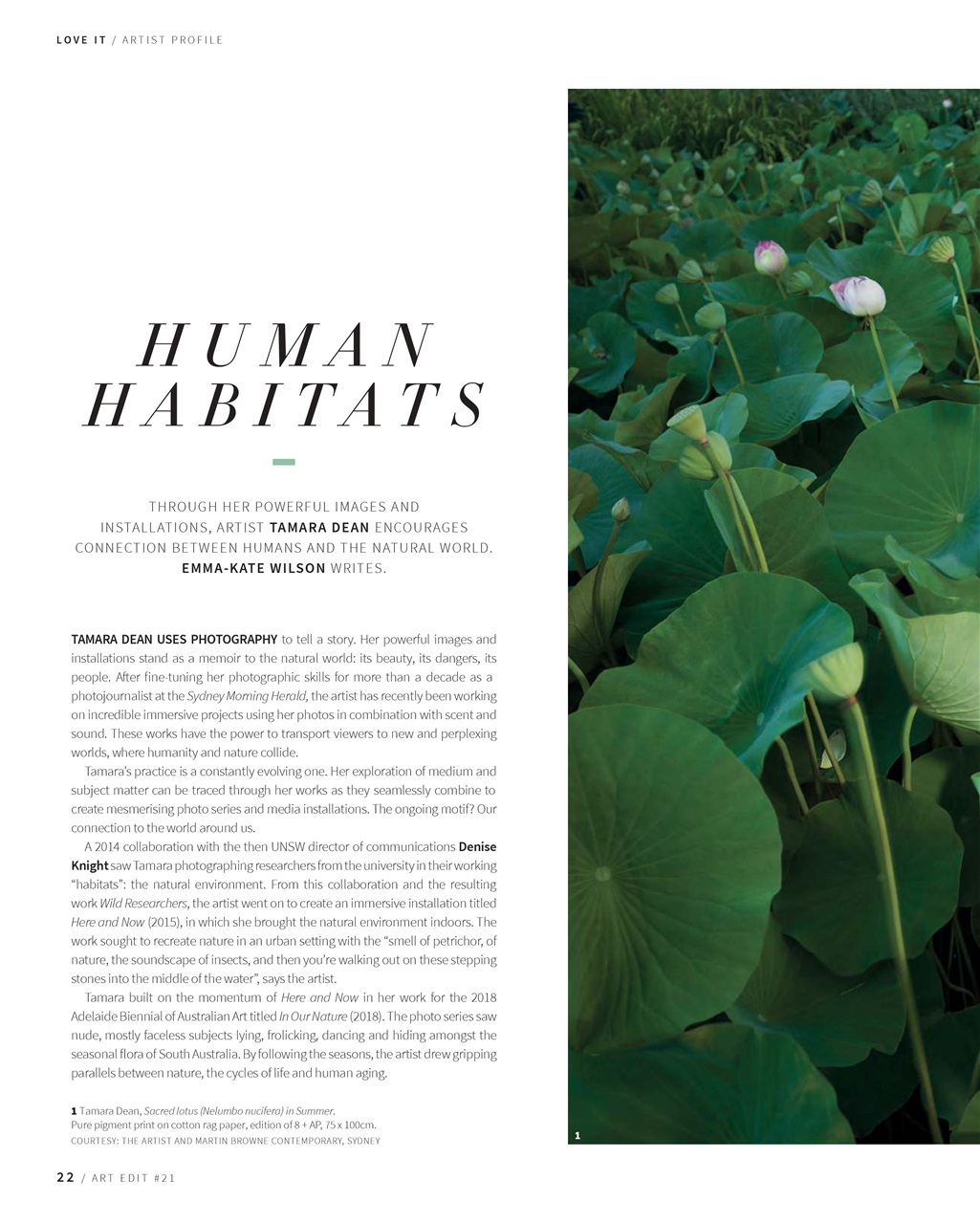 Art Edit Preview Pages