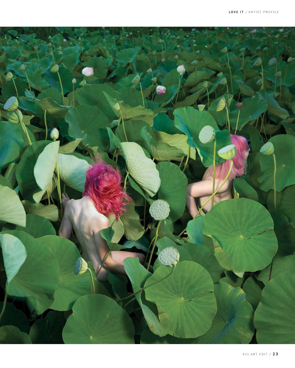 Art Edit Preview Pages