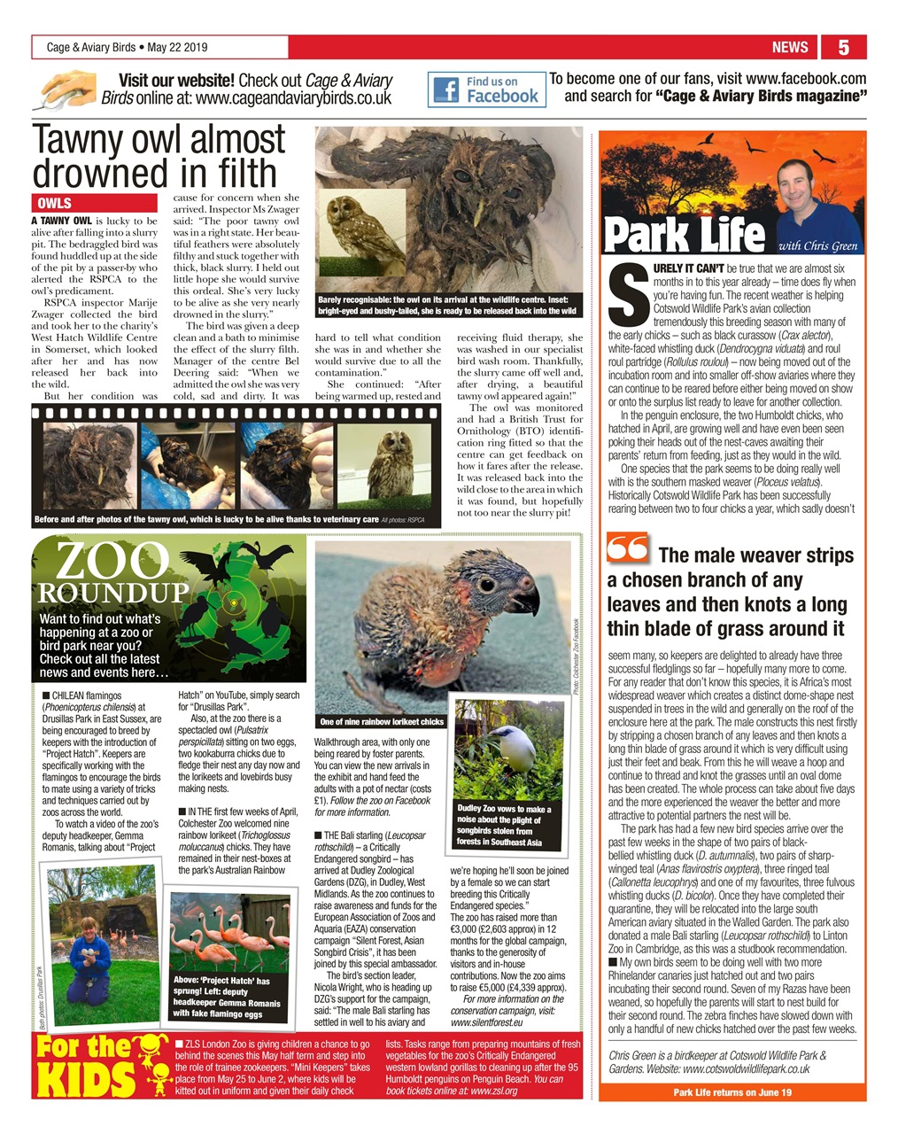 Cage & Aviary Birds Preview Pages
