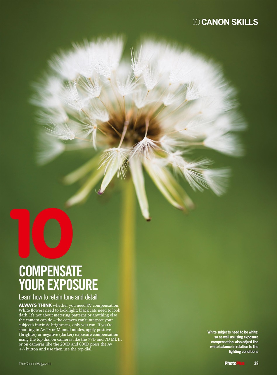 PhotoPlus Preview Pages
