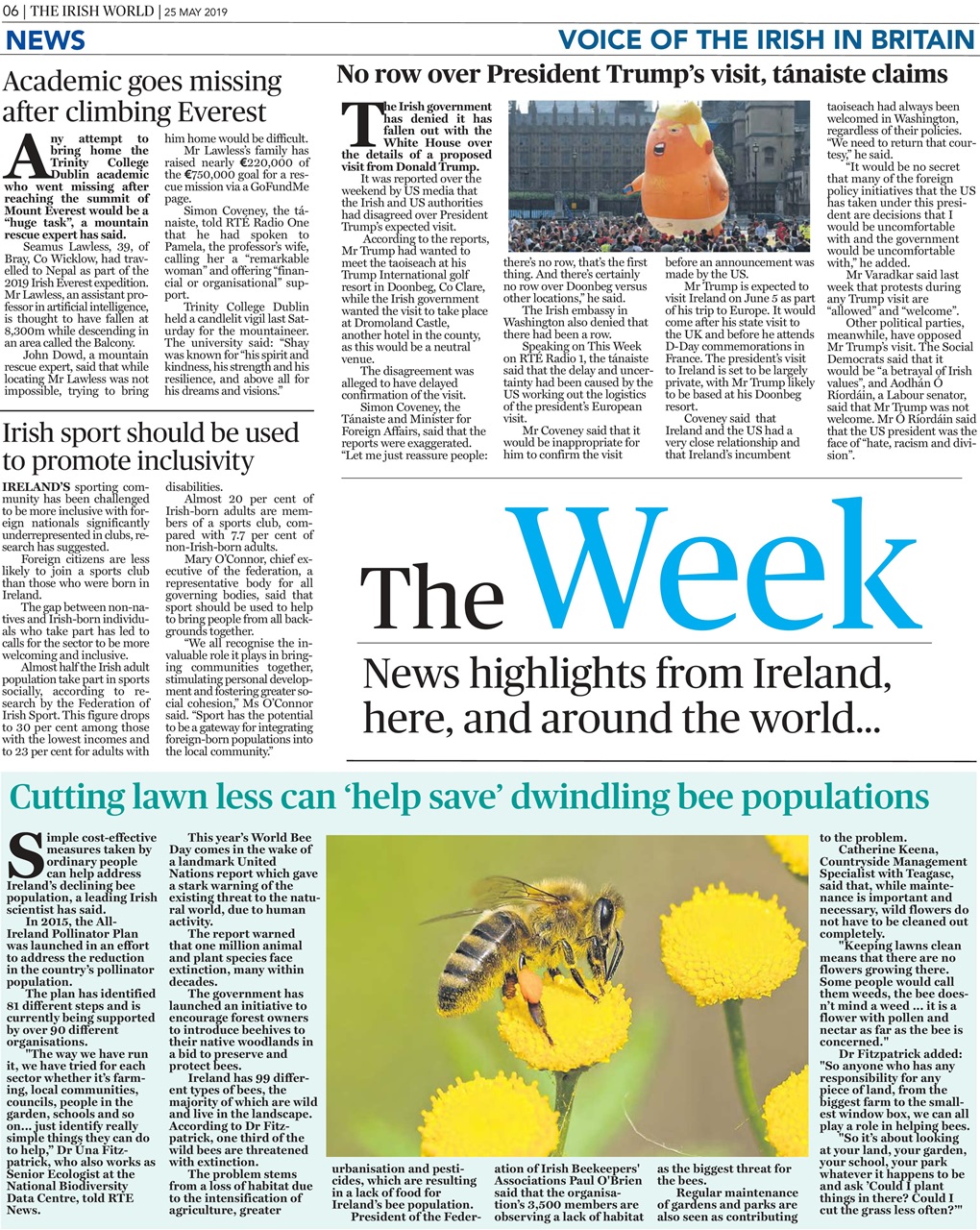 Irish World Preview Pages