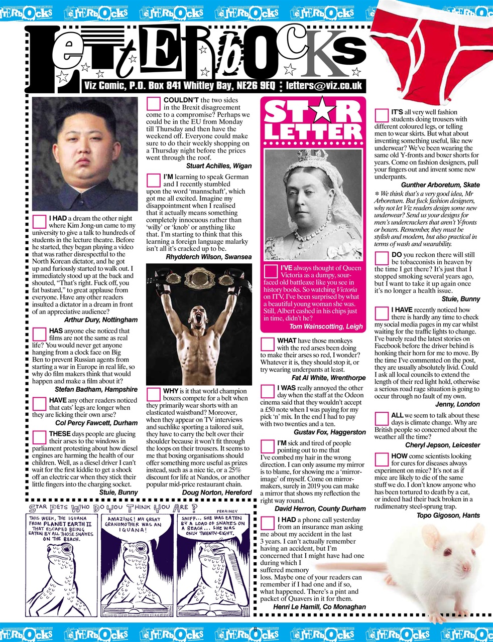 Viz Preview Pages