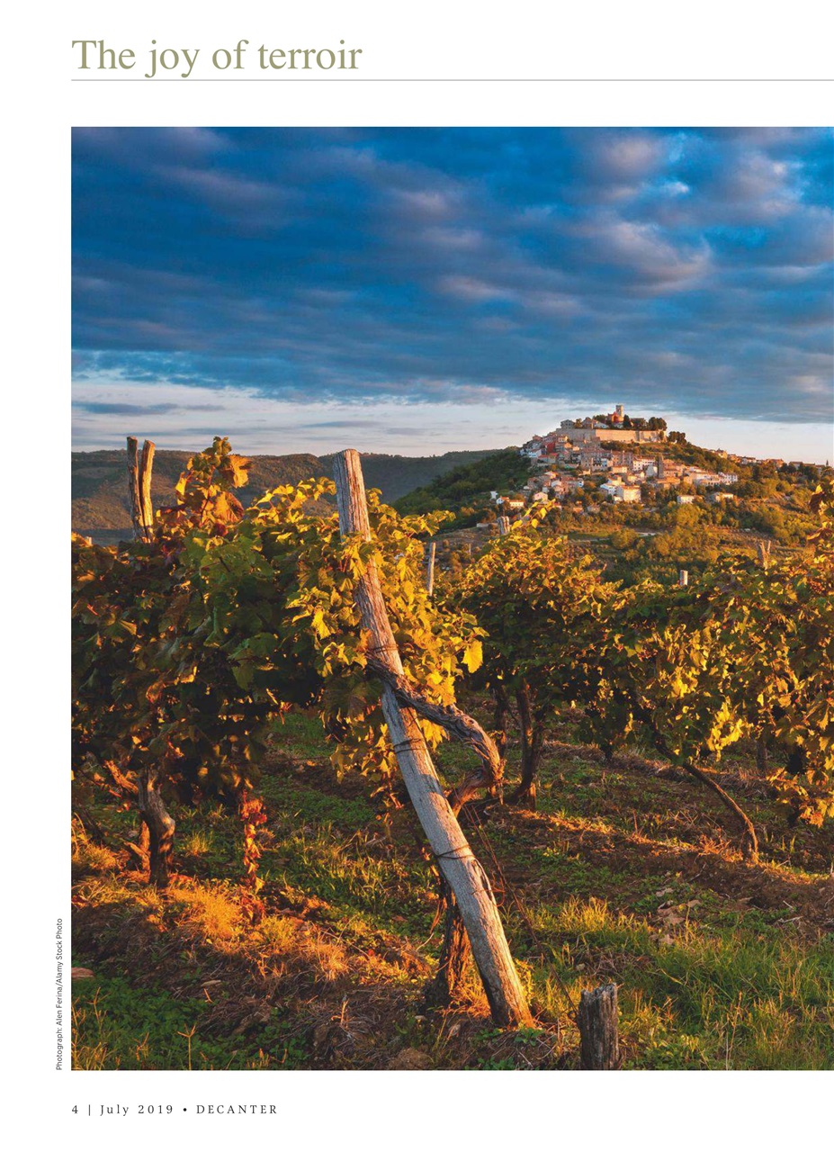 Decanter Preview Pages