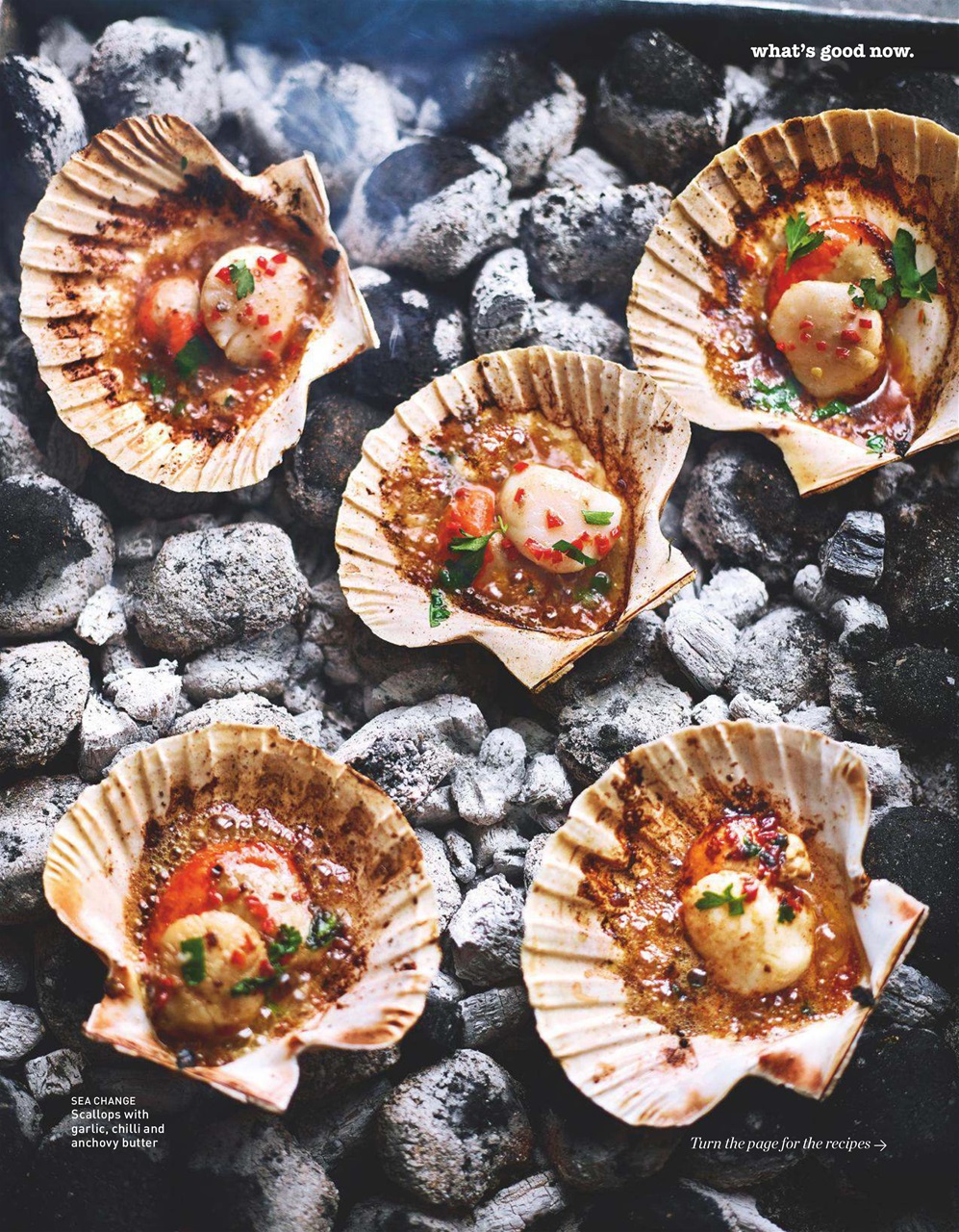 delicious. Magazine Preview Pages