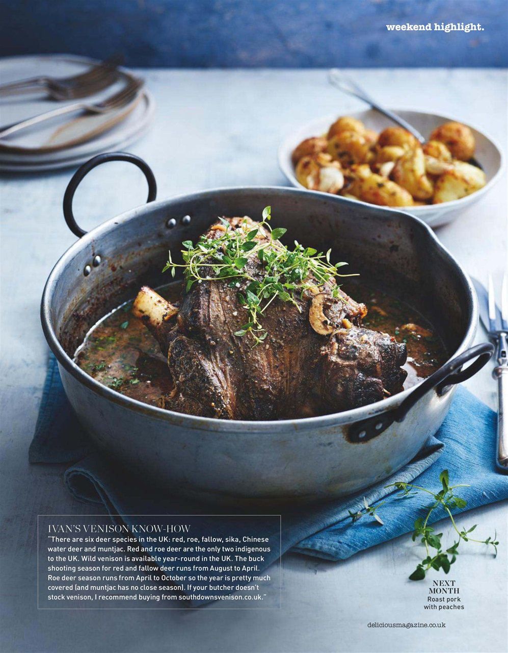 delicious. Magazine Preview Pages