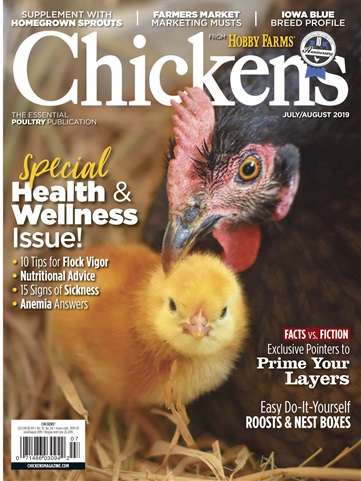 Chickens Magazine issue July/Aug 2019