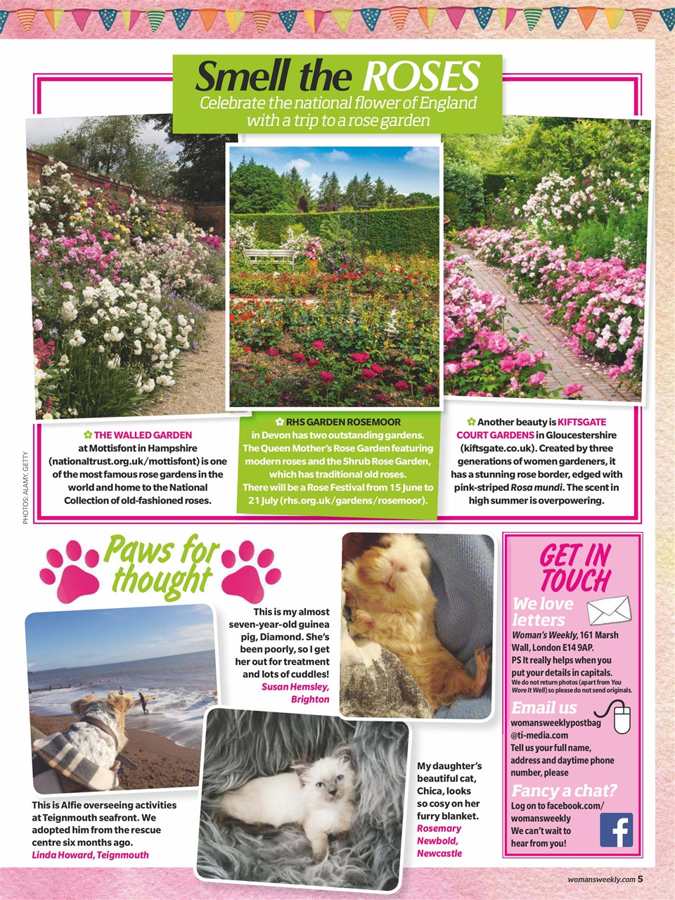Woman's Weekly Preview Pages