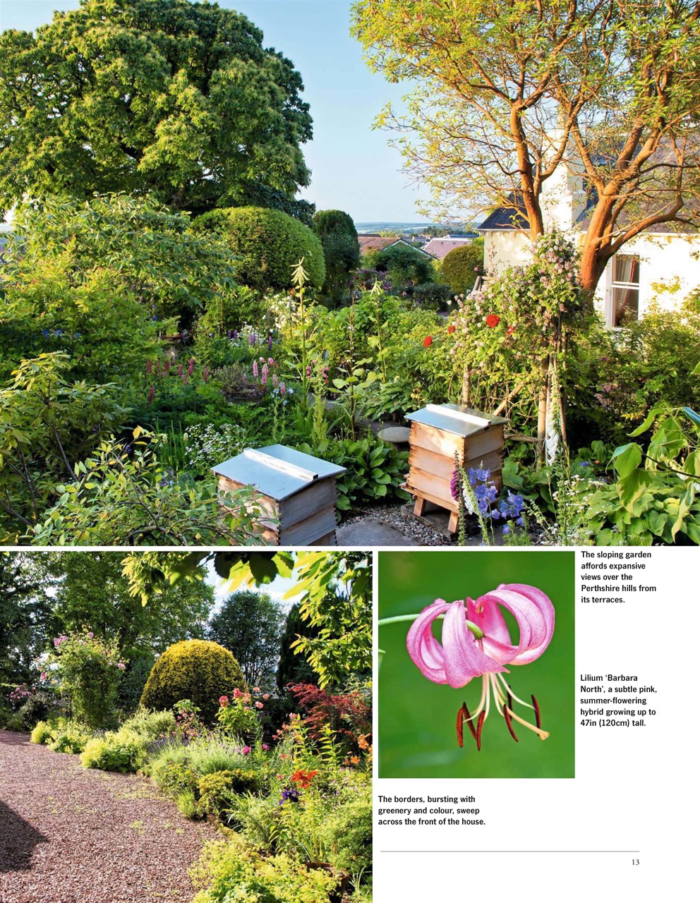 LandScape Preview Pages