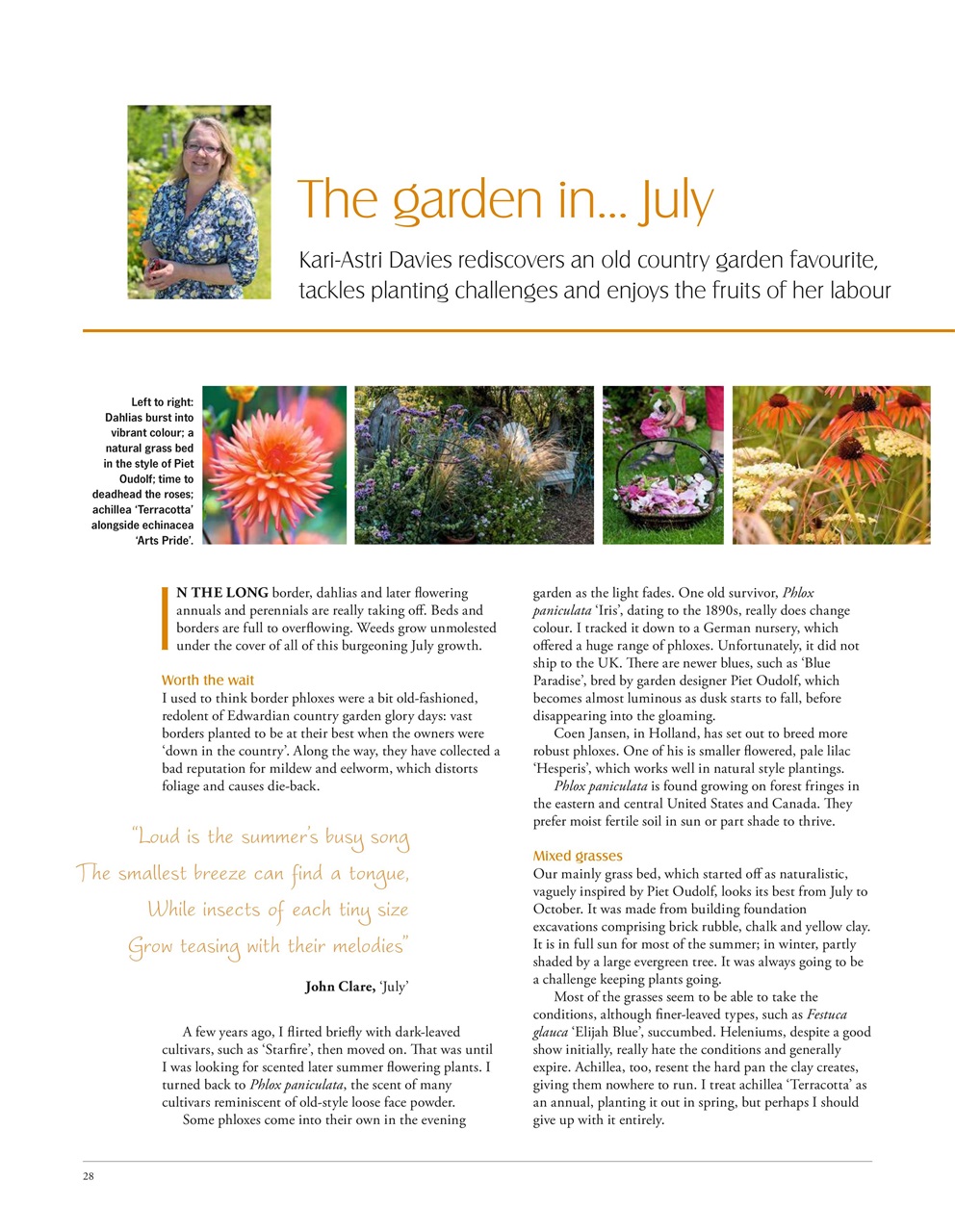 LandScape Preview Pages