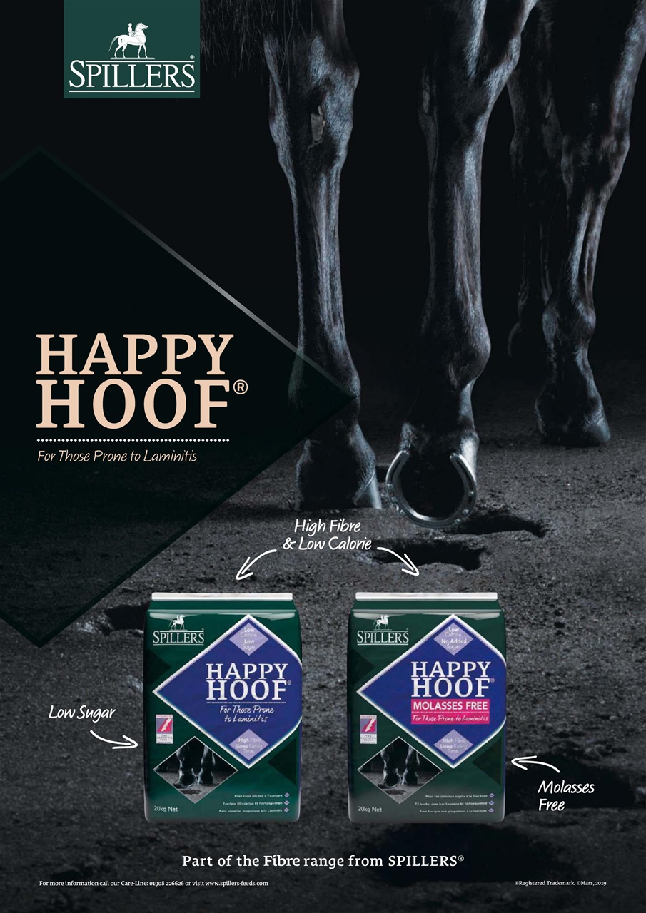 Your Horse Preview Pages