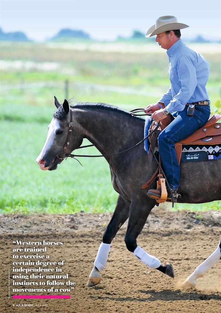 Your Horse Preview Pages