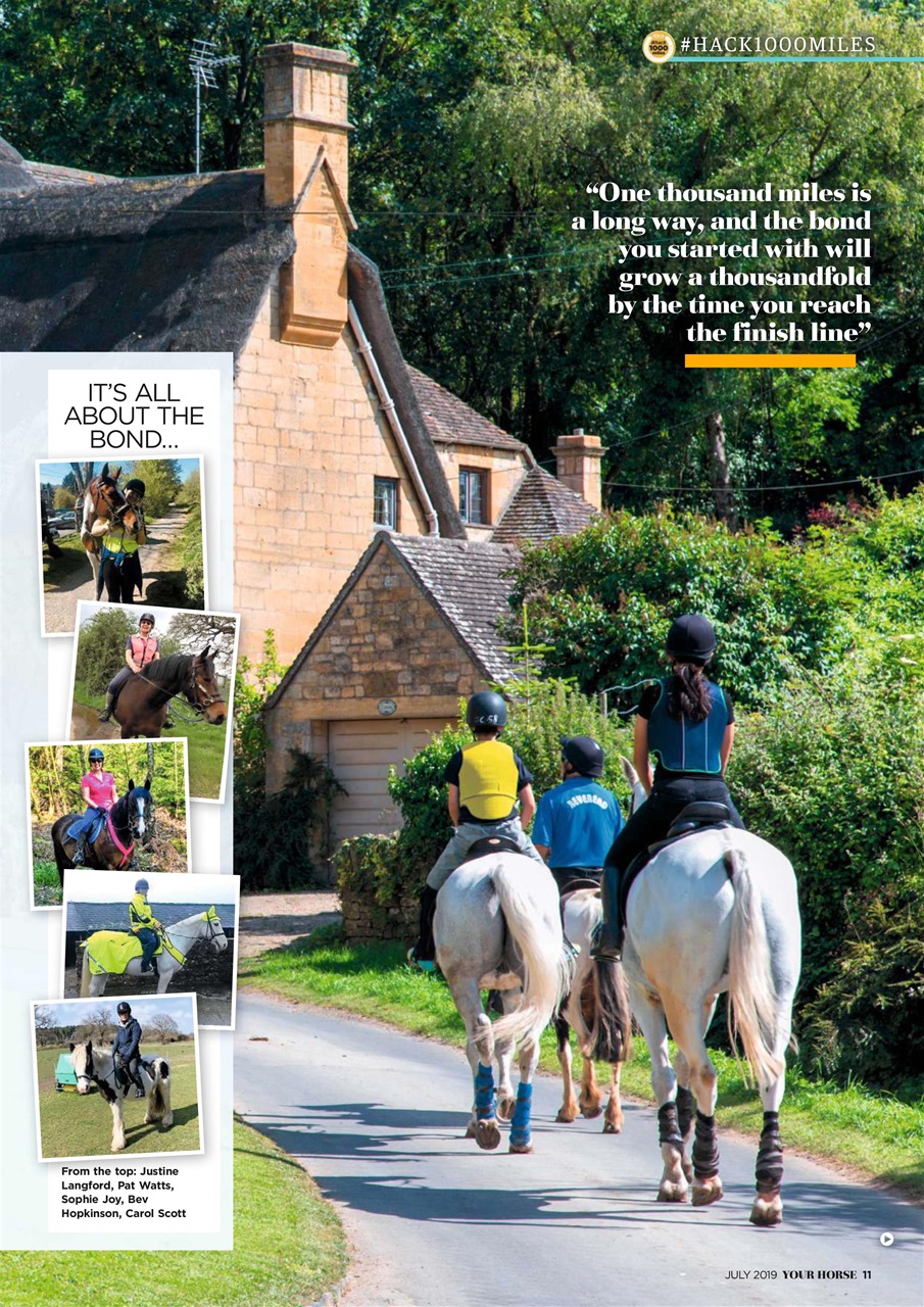 Your Horse Preview Pages